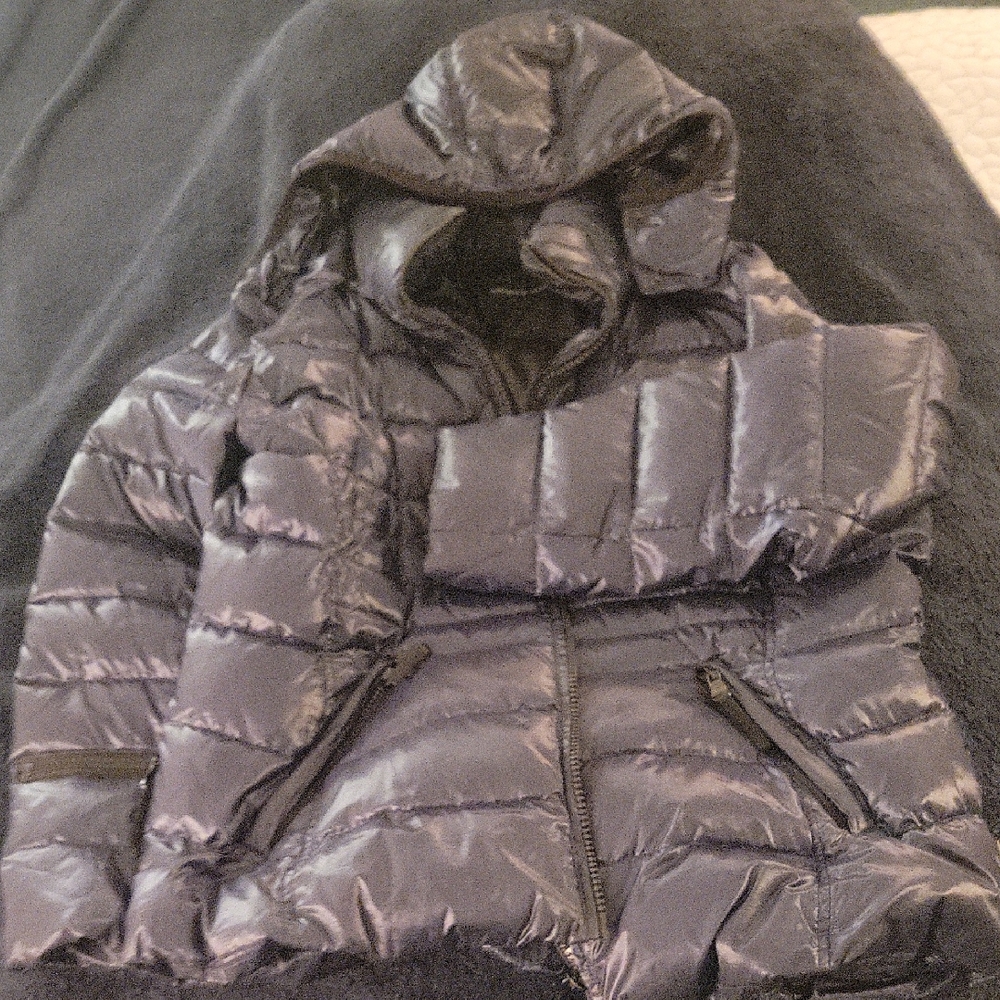 Andrew Marc 100% Down Shiny Puffer Jacket with Hood